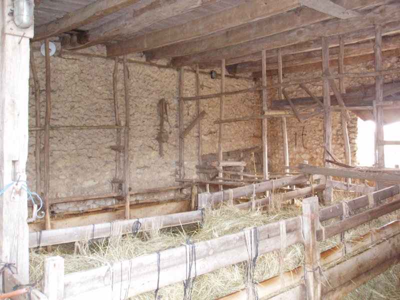 Original barn with sheep pens